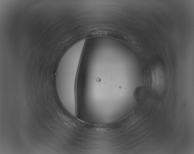X0000052960649200507080857