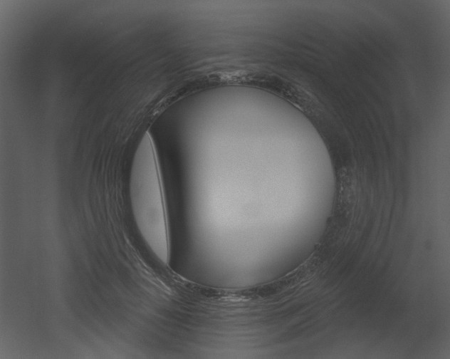 X0000052960650200507080857