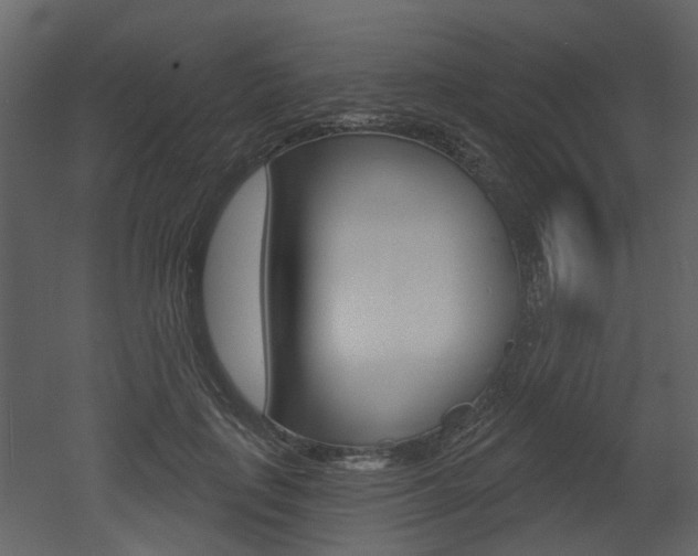 X0000052960651200507080857