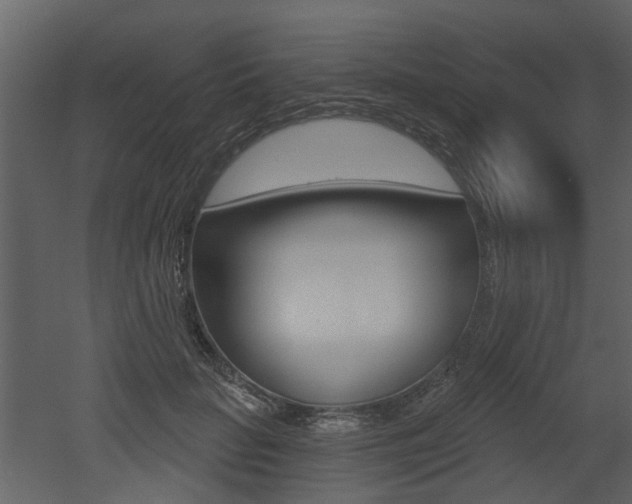 X0000052960653200507080857
