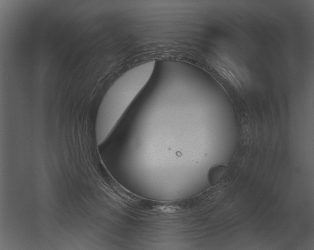 X0000052960654200507080857