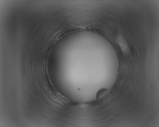 X0000052960656200507080857