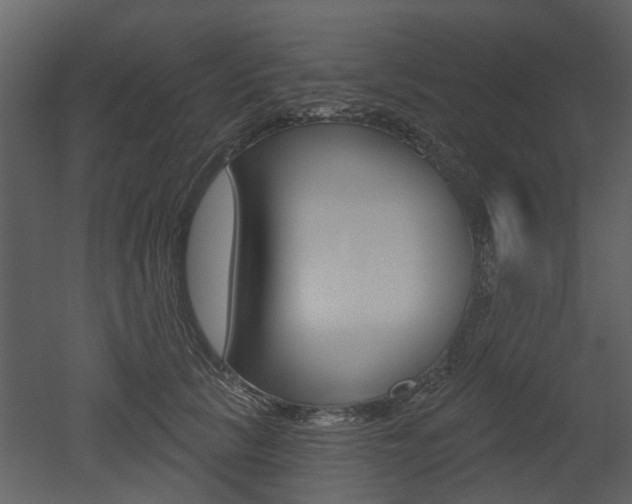 X0000052960657200507080857