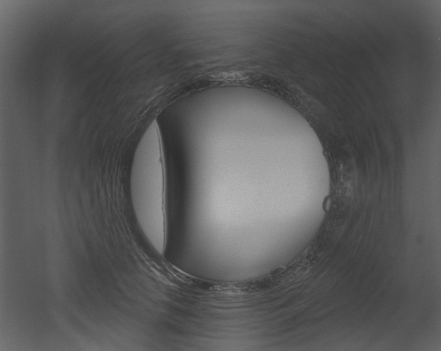 X0000052960658200507080857