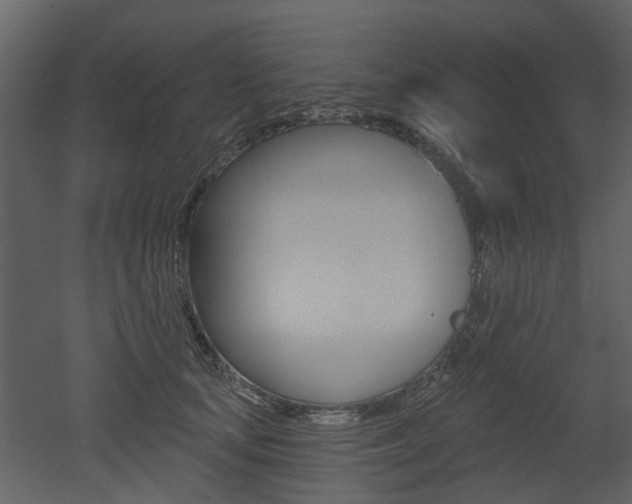 X0000052960659200507080857
