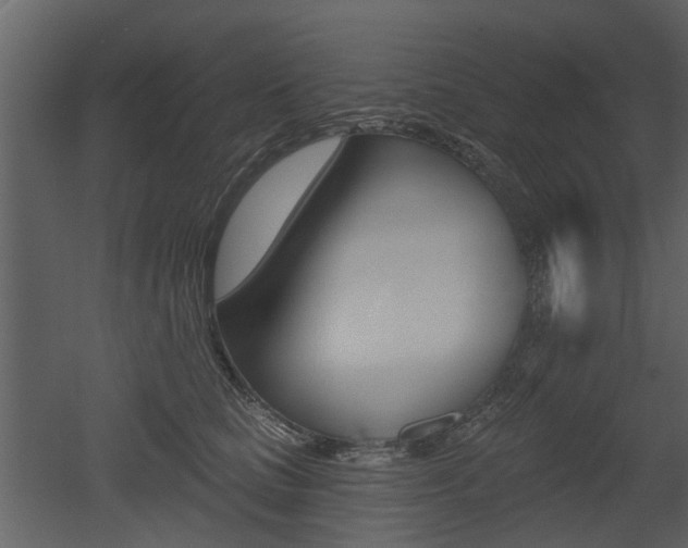 X0000052960661200507080857