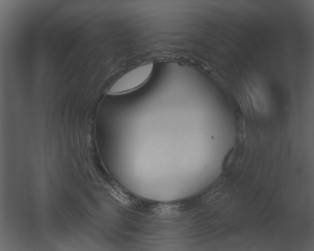 X0000052960664200507080857