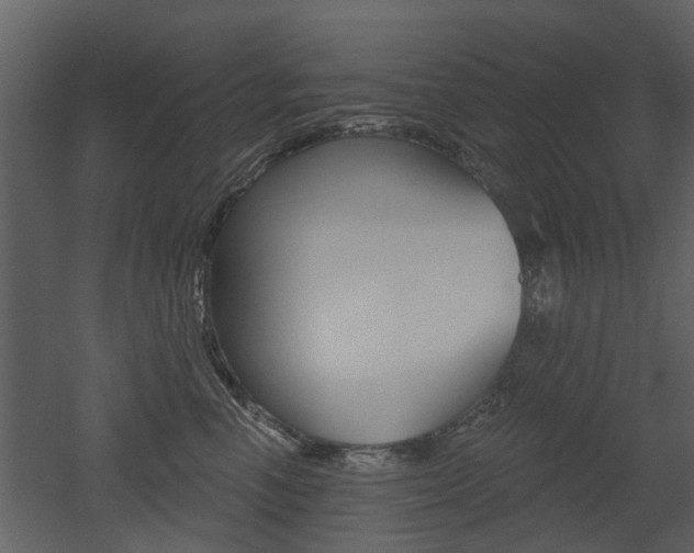 X0000052960666200507080857