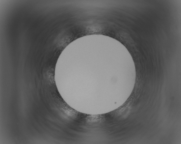 X0000052960672200507080857