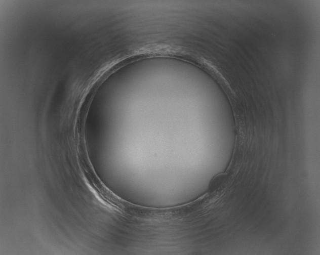 X0000052960674200507080856