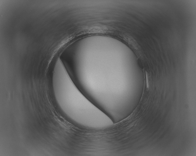X0000052960675200507080856