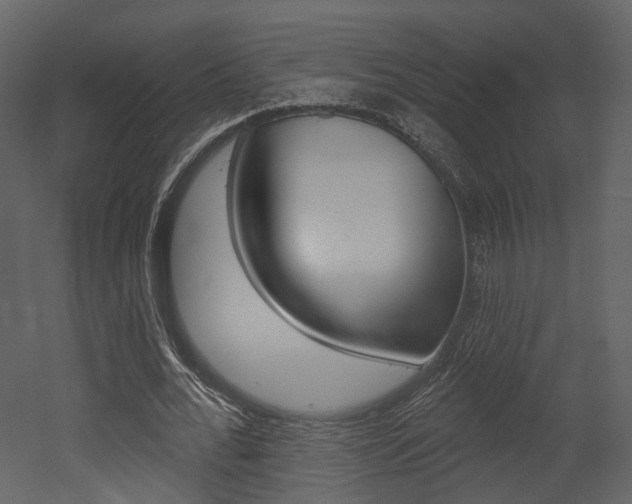 X0000052960676200507080856