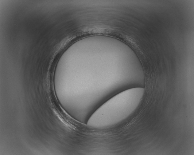 X0000052960678200507080856