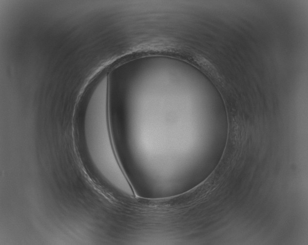 X0000052960680200507080856