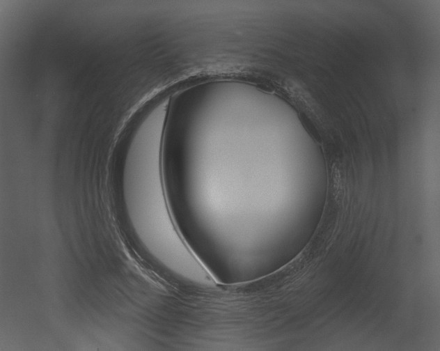 X0000052960684200507080856