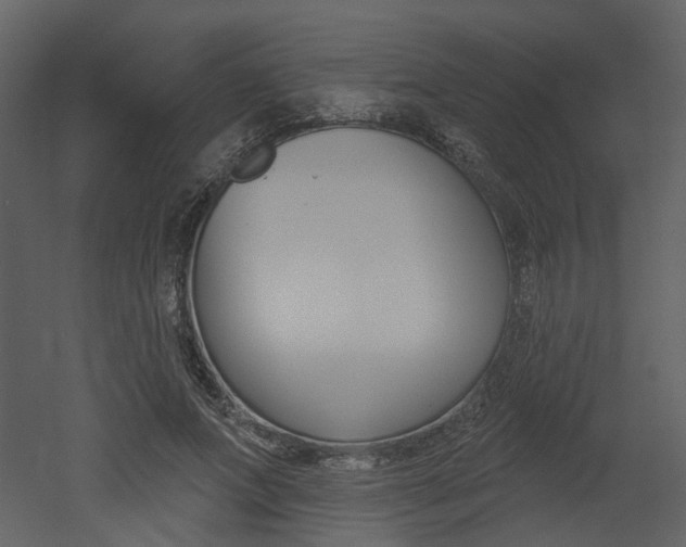 X0000052960687200507080856