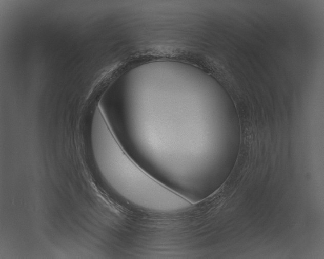 X0000052960688200507080856