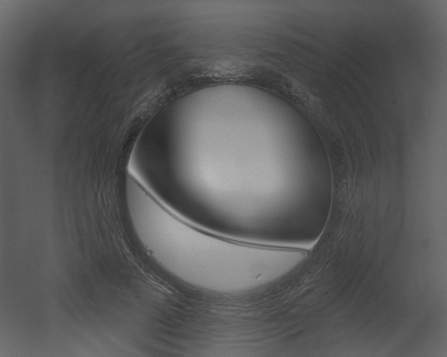 X0000052960689200507080856