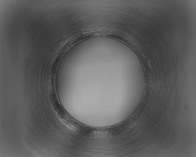 X0000052960690200507080856