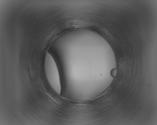 X0000052960691200507080856
