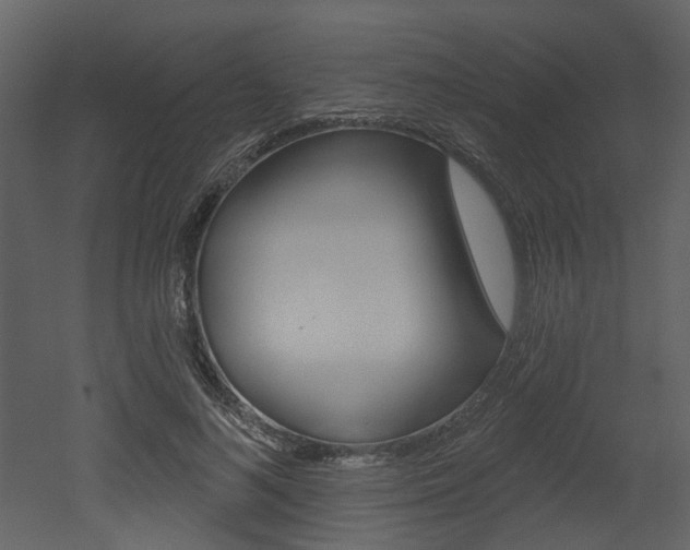 X0000052960692200507080856