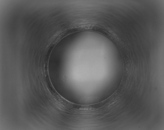 X0000052960693200507080856