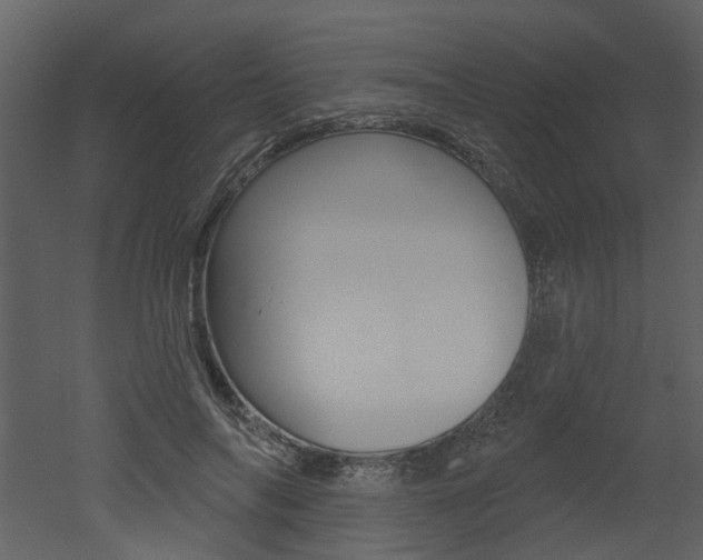 X0000052960694200507080856