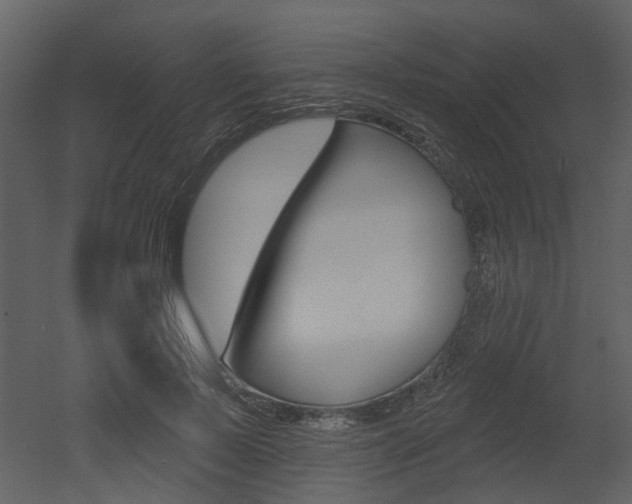 X0000052960695200507080856