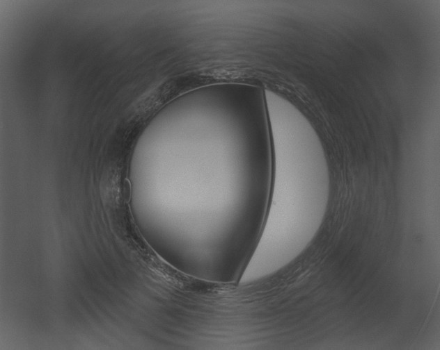 X0000052960697200507080856