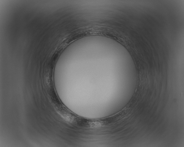X0000052960698200507080856