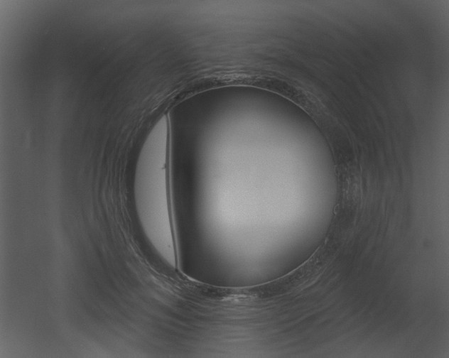 X0000052960700200507080856