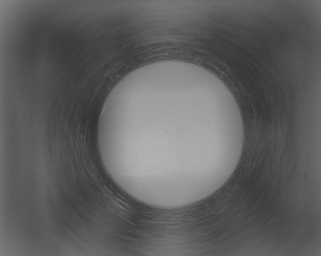 X0000052960701200507080856
