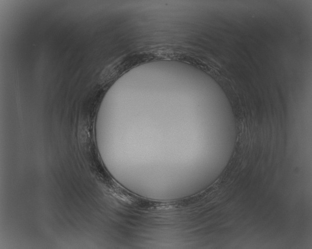 X0000052960702200507080856