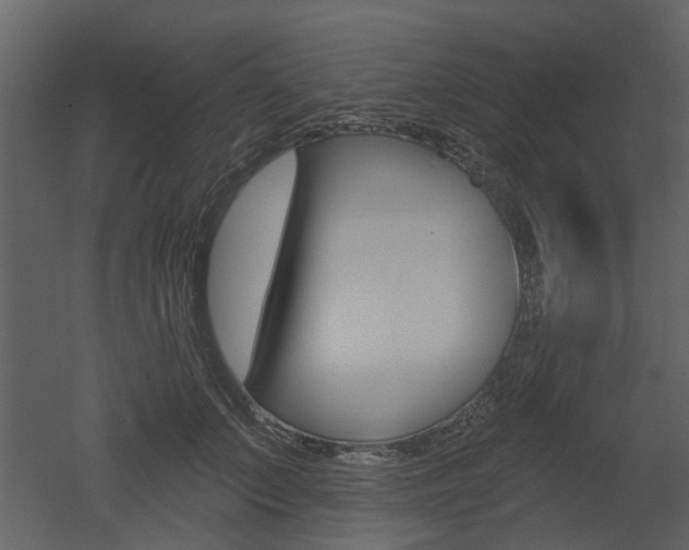 X0000052960703200507080856