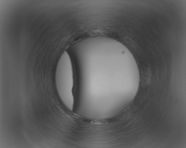X0000052960706200507080856