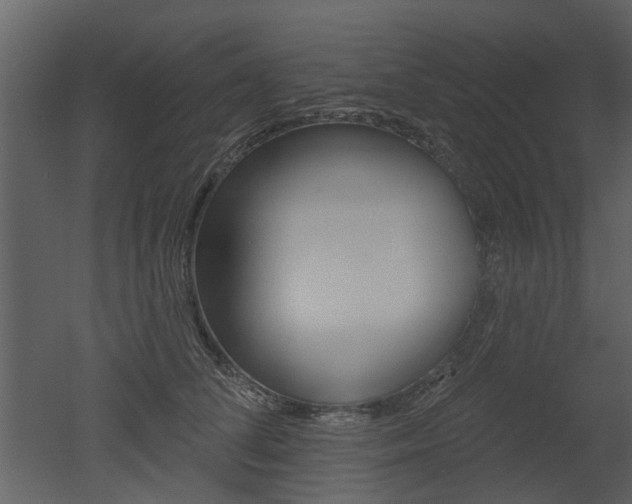 X0000052960708200507080856