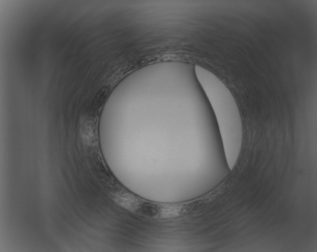 X0000052960709200507080856