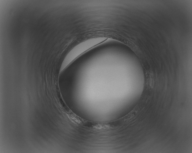 X0000052960712200507080856