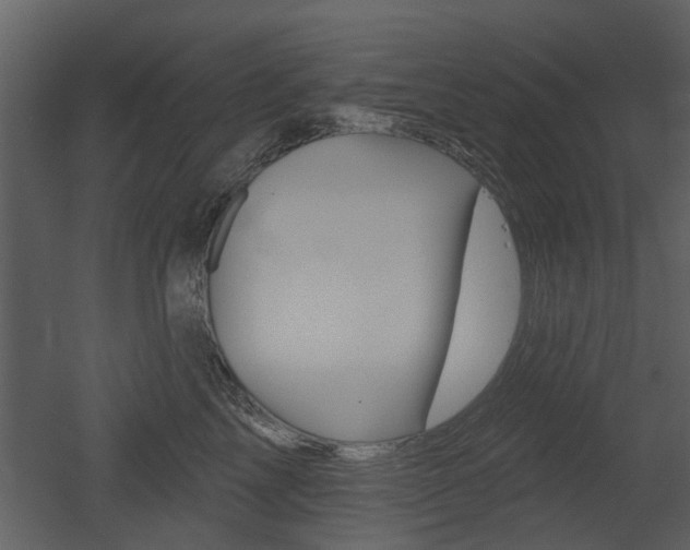 X0000052960713200507080856