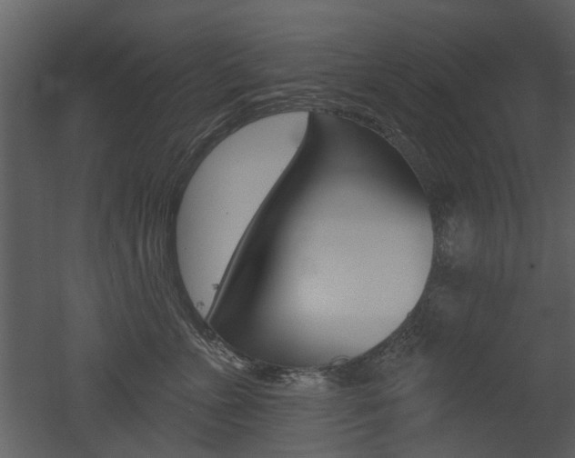X0000052960715200507080856