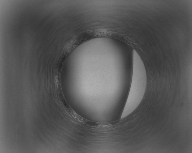 X0000052960716200507080856