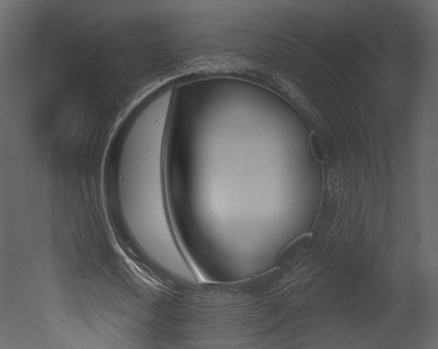 X0000052960722200507080855