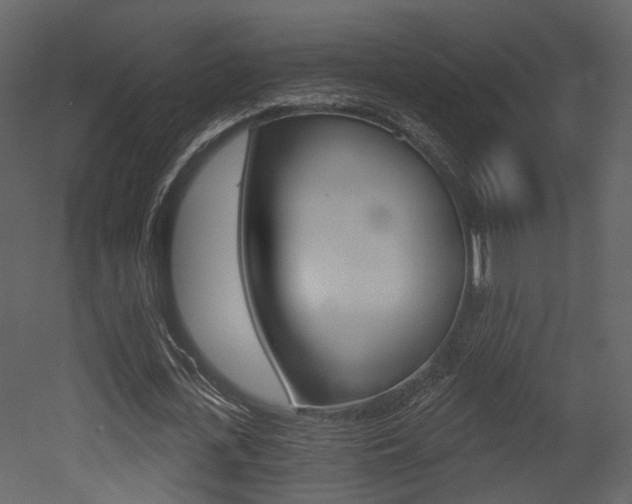 X0000052960723200507080855