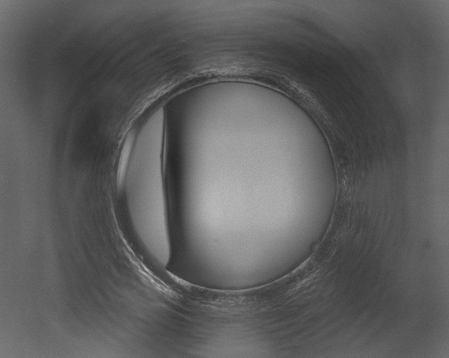 X0000052960725200507080855