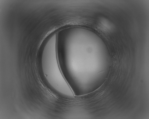 X0000052960727200507080855
