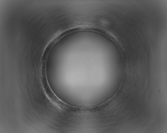 X0000052960730200507080855