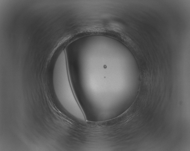 X0000052960731200507080855