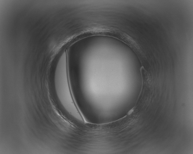 X0000052960732200507080855