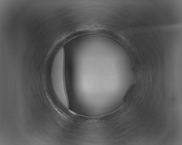 X0000052960736200507080855