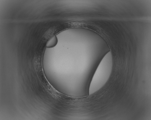 X0000052960737200507080855